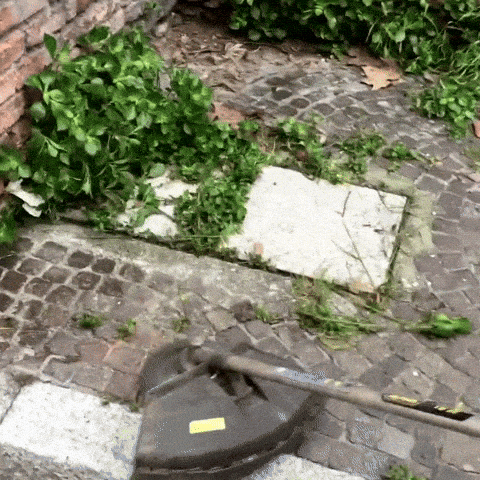 Steel Brush Weed Trimmer Head For Garden Universal Fit For Lawns Patios & Driveways - Image 9